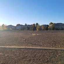 Green Valley Ranch East Park Dog Park photo 1